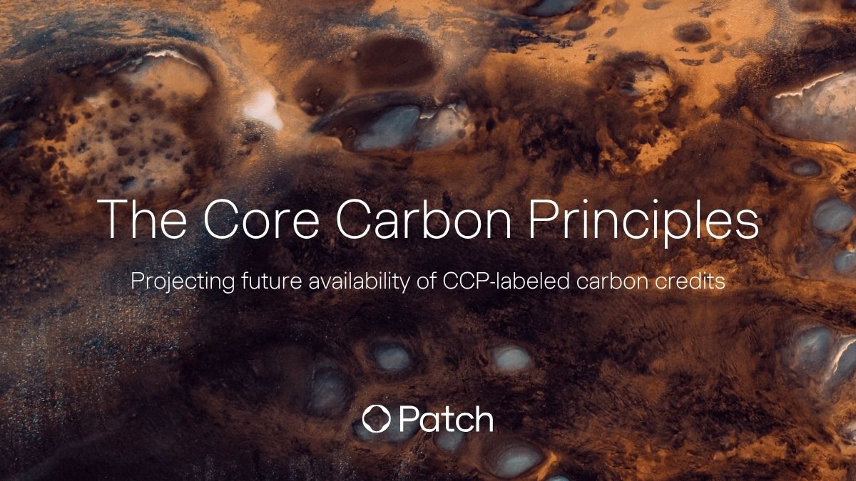 Corporate buyers are caught in Asia's AI energy squeeze | Patch